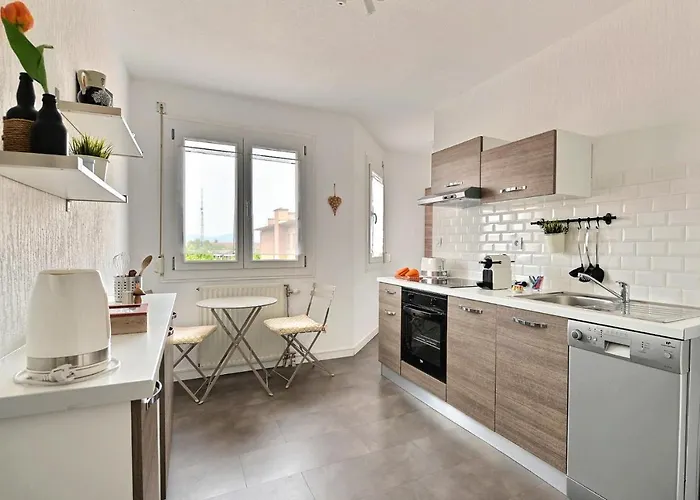 Le Petit Nid De Max Et Sophie 1free Garage * 科尔马