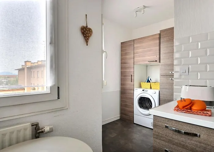 Apartment Le Petit Nid De Max Et Sophie 1free Garage Colmar